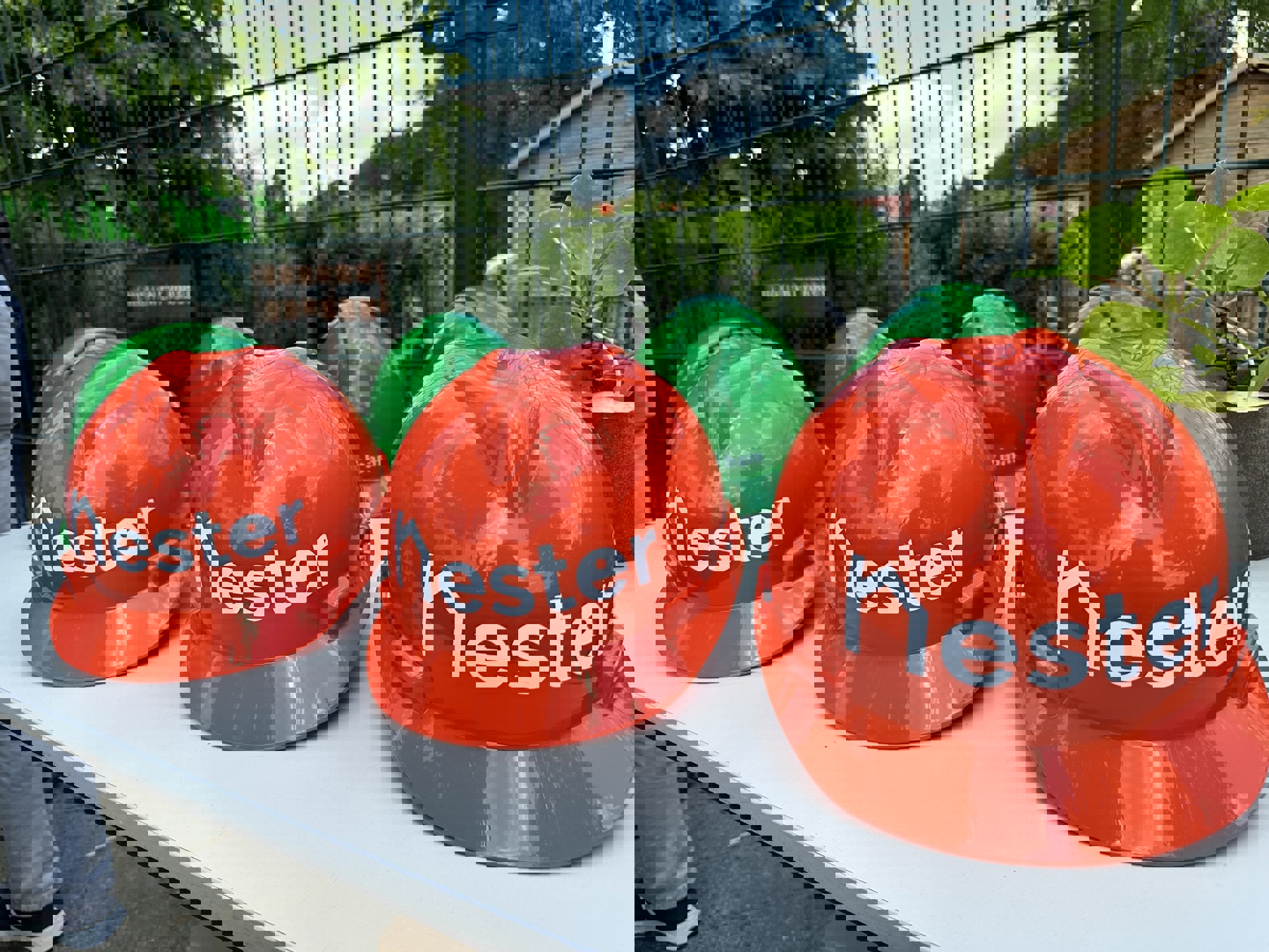 449100519 1092045832448280 8788318797013667669 N